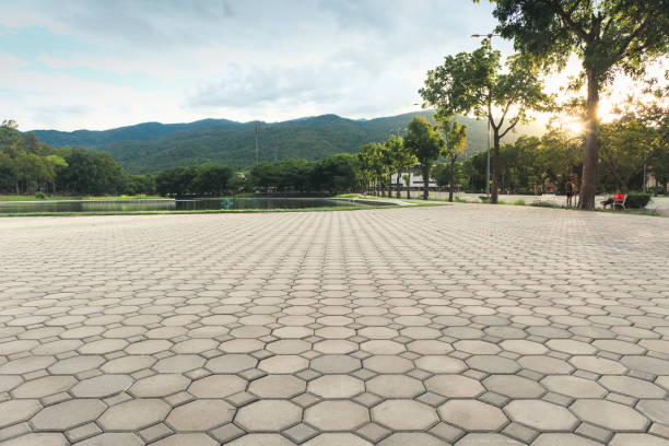 Best Residential Paver Driveway  in Pleasant Hill, CA